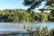 People swimming and boating in Lake Lanier during summer time along side waterfront properties and boat docks