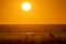 People swimming in the sea at bright orange sunset - huge shining sun