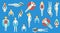 People in swimsuit with different post vector