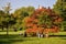 People take a rest in London Green Park