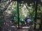 People taking steps down to cave in the Guajataca forest in Puerto Rico with fallen trees from hurricane Irma and Maria