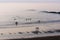 People taking their last swim at sunset on Zumaia beach