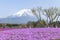 People from Tokyo and other cities come to Mt. Fuji and enjoy th