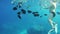 People Tourists Dive from the Yacht Under Water in Red Sea, Egypt