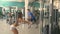 People training in the gym