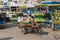 People transport goods to the local market by donkey in Mandawa, India.