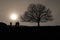 People and tree silhouetted at sunset