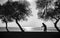 People and Trees. Elderly woman walking on a cane