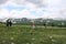 People trekking across alpine meadow of Lago-Naki plateau