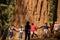 People try to hug a huge Sequoia tree in Sequoia National Park in California. Concept, tourism, travel