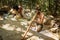 People under big banyan tree in Arambol. Goa