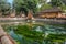 People visit Holy water spring in the Pura Tirta Empul, Bali, Indonesia