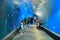 People visit the modern aquarium with underwater tunnel in Wroclaw Africarium