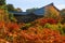 people visit Tofuku-ji Temple