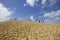 People visiting the Famous dune of Pyla