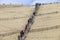 People visiting the Famous dune of Pyla, in Pyla Sur Mer, France