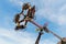 People wait up in the blue sky for the vertical ride and the zer