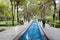 People walk along the ditch with water in a park with tall ancient trees