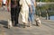 People walk along the waterfront with West highland white Terriers