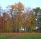 People walk on autumnal city park. Season of autumn with yellow foliage on trees