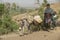 People walk barefoot by countryside path in Bahir Dar, Ethiopia.