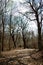 People walk in the empty spring Park.