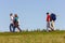 people walk on lawn at horizon