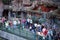 People walk near open-air cages with animals in Moscow Zoo in the warm afternoon.