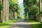 People walk by the palm trees alley in the Peradeniya Royal Botanical Garden in Kandy, Sri Lanka.