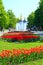 People walk in the park with flower beds of tulips and fountains
