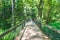 People walk on wooden bridge in the botanical garden forest in the summer season..