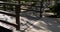 People walking across a wooden bridge over a stream