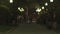 People walking along green bushes, trees, street lanterns in a city park. Stock footage. Walking down the alley late in