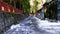 People walking along pebble path with stone lanterns to forecourt of Toshogu Shrine.