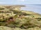 People walking along Waddensea coast of nature reserve Het Oerd on West Frisian island Ameland, Friesland, Netherlands