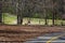 People walking along winding footpaths in the park surrounded by lush green grass, tall black lamp posts, lush green trees