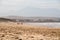 People walking on a beach in Mossel Bay, South Africa