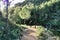 People walking through the Carricola mountains