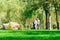 People walking and children playing in a city park on a summer day, green lawns with grass and trees, paths and benches, bright