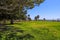 People walking down a smooth footpath in the park surrounded by lush green grass and trees near the ocean with blue sky