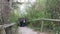 People walking downstairs a path to the beach of Cape Arkona.