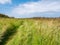 People walking on footpath hidden in grass in nature reserve het Oerd on West Frisian island Ameland, Friesland, Netherlands