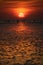 People walking on the mudflap beach in the sunset off Buesum.