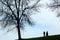 people walking outdoors between trees