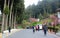 People walking at the park in Alishan, Taiwan