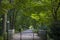 People walking in park of Berlin, water, trees and autumn time, urban recreation