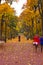 People walking in the park during yellow OCtober day