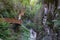 People walking path to and enjoy Horma Canyon in Kure Mountains National Park, Kure Daglari Milli Parki, Kastamonu/Turkey