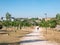 People walking and playing sports on the path of a park during the coronavirus alarm state