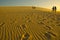 People walking on sand dunes